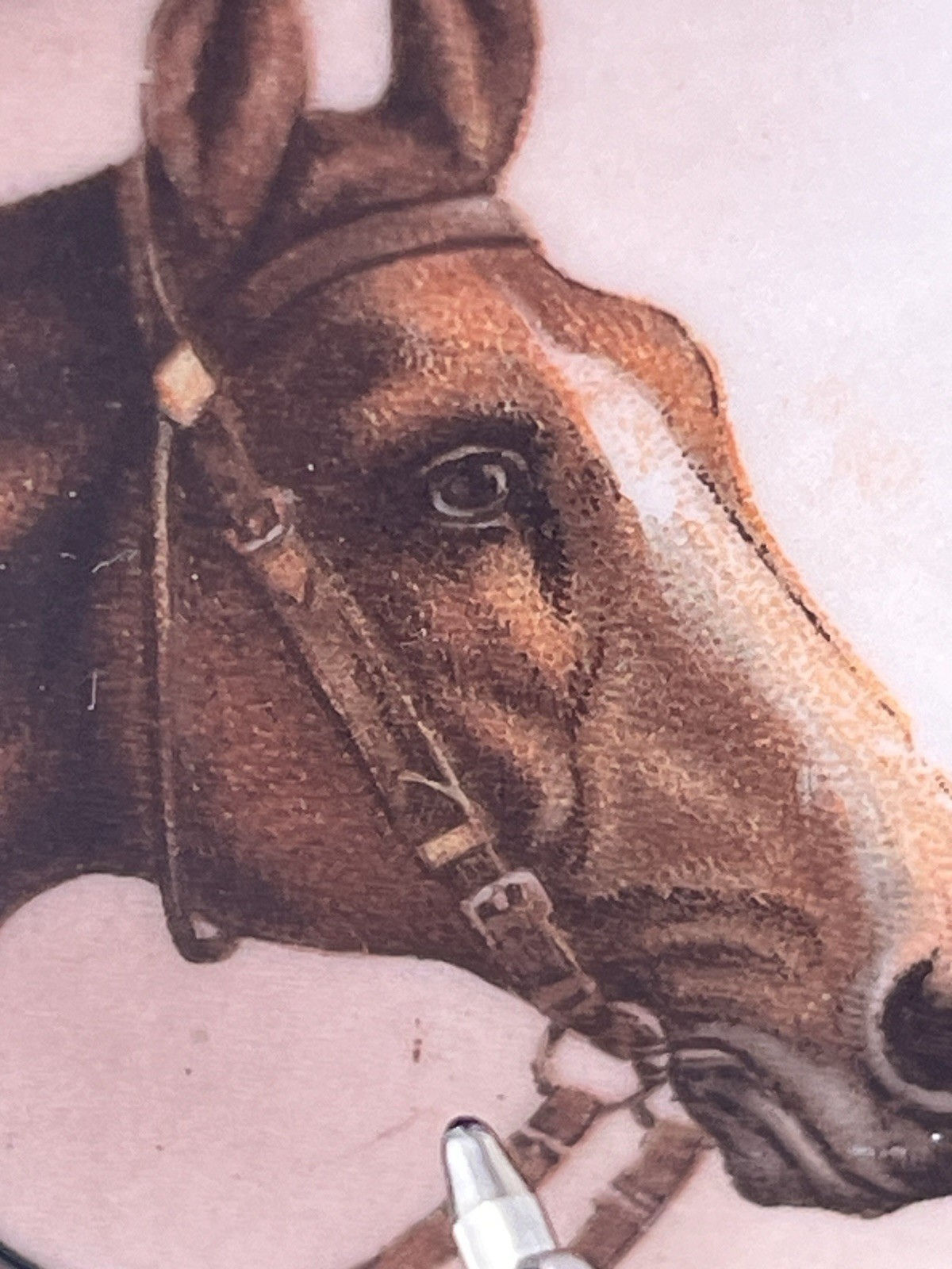 【馬が窓の向こうで耳を立てる】オールドノリタケ 盛上 点盛 馬文 蓋物 - 画像 (3)